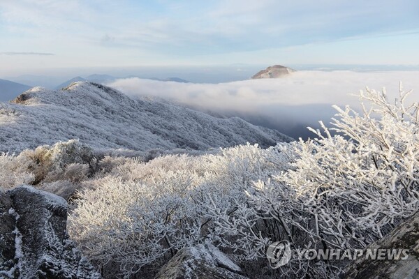 [설연휴날씨] 첫날 '영하10도이하 강추위'