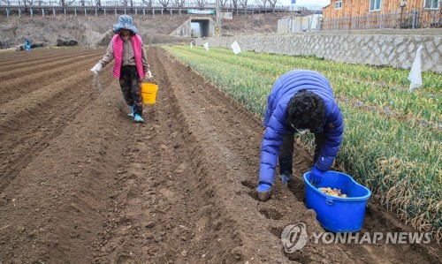 절기상 우수(雨水), 오전까지 전국 비 또는 눈...수도권 미세먼지 기승