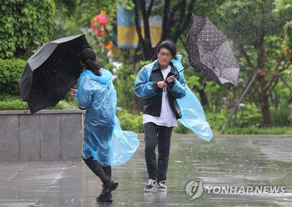 제주도 7곳 강풍주의보 발효