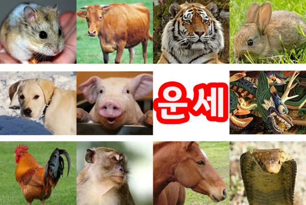 띠별운세, 생년월일 운세 (사진=게티이미지, 한국관광공사)