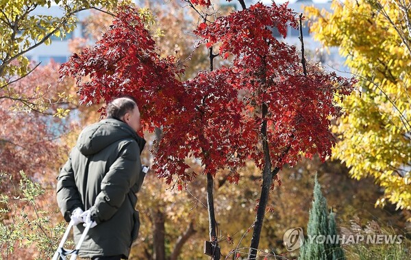 4일 전국이 구름 많다가 오후부터 맑아지겠고, 기온은 평년수준과 비슷해 비교적 포근하겠다. 지난 2일 서울 여의도한강공원에 울긋불긋 단풍이 물들어 있다. (사진=연합뉴스)