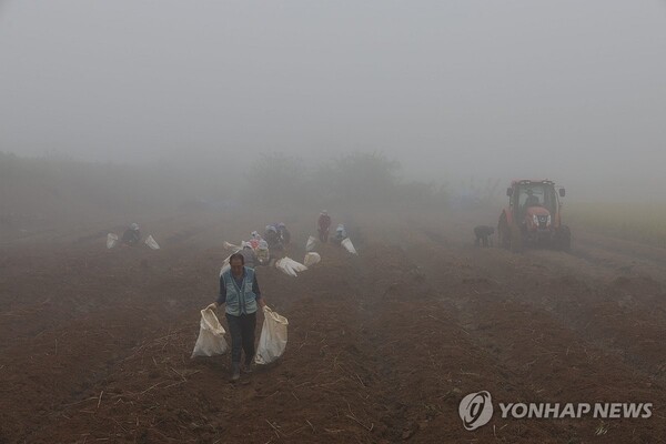 가을이 깊어가는 가운데 5일 충청권내륙과 남부내륙을 중심으로 아침에 가시거리 200m 미만의 짙은 안개가 낀 곳이 많겠다. (자료사진=연합뉴스)