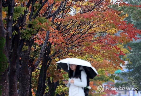 8일 전국이 대체로 흐린 가운데 곳곳에서 가을비가 촉촉하게 내리겠다. 기온은 평년보다 대체로 높아 포근하겠다. (자료사진=연합뉴스)