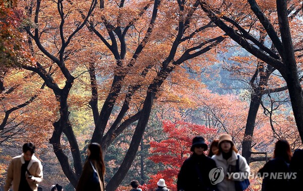 13일 서울 남산을 찾은 시민과 관광객들이 알록달록 단풍이 물든 나무 아래를 거닐고 있다. (사진=연합뉴스)