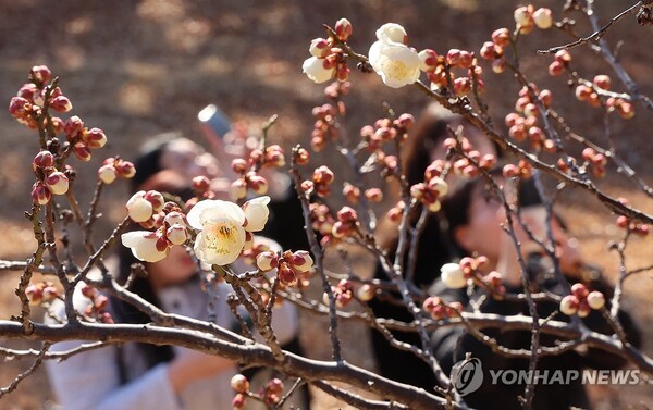 [날씨] 절기상 우수(雨水)...하늘 맑고 아침 쌀쌀, 낮엔 포근